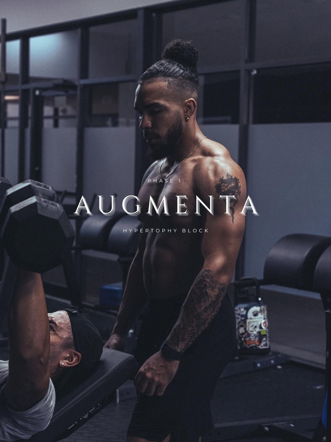Augmenta: